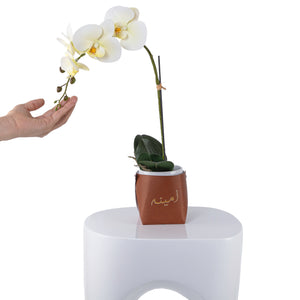 White orchid flower in a brown leather vase decorated by customized name