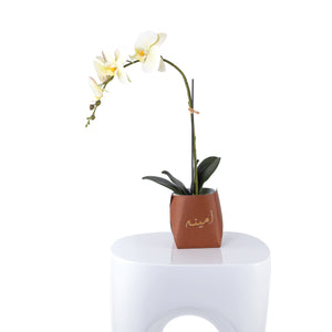 White orchid flower in a brown leather vase decorated by customized name