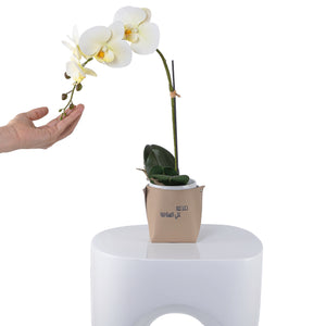 White orchid flower in a beige leather vase decorated with customized name