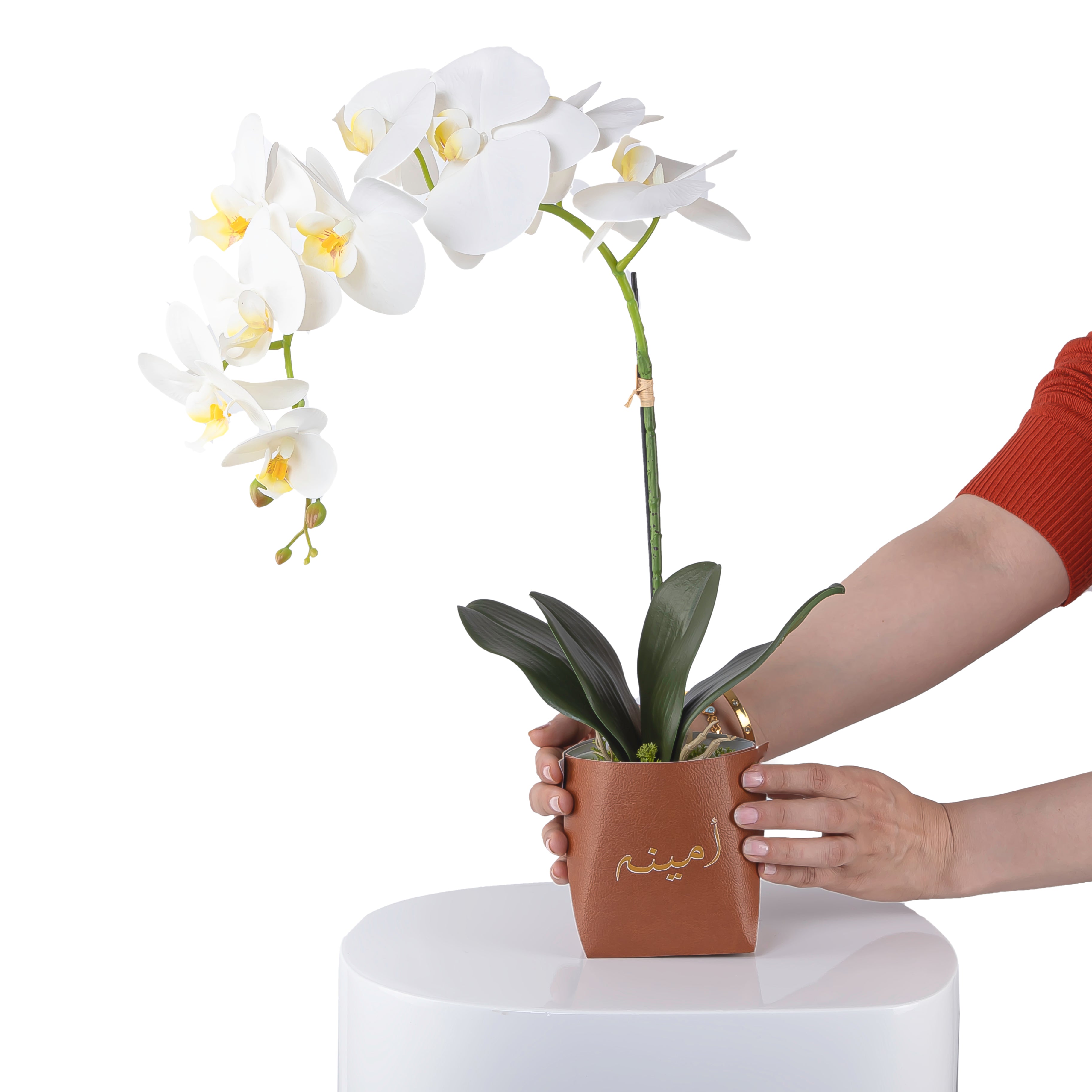 White orchid flower in a brown leather vase decorated with customized name