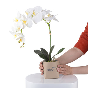 White orchid flower in a beige leather vase decorated with customized name
