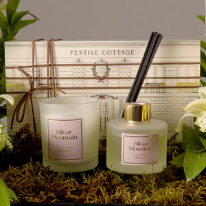 A diffuser and a candle