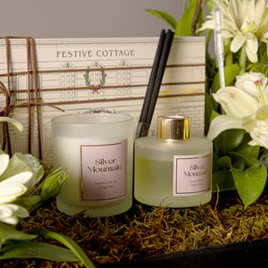 A diffuser and a candle