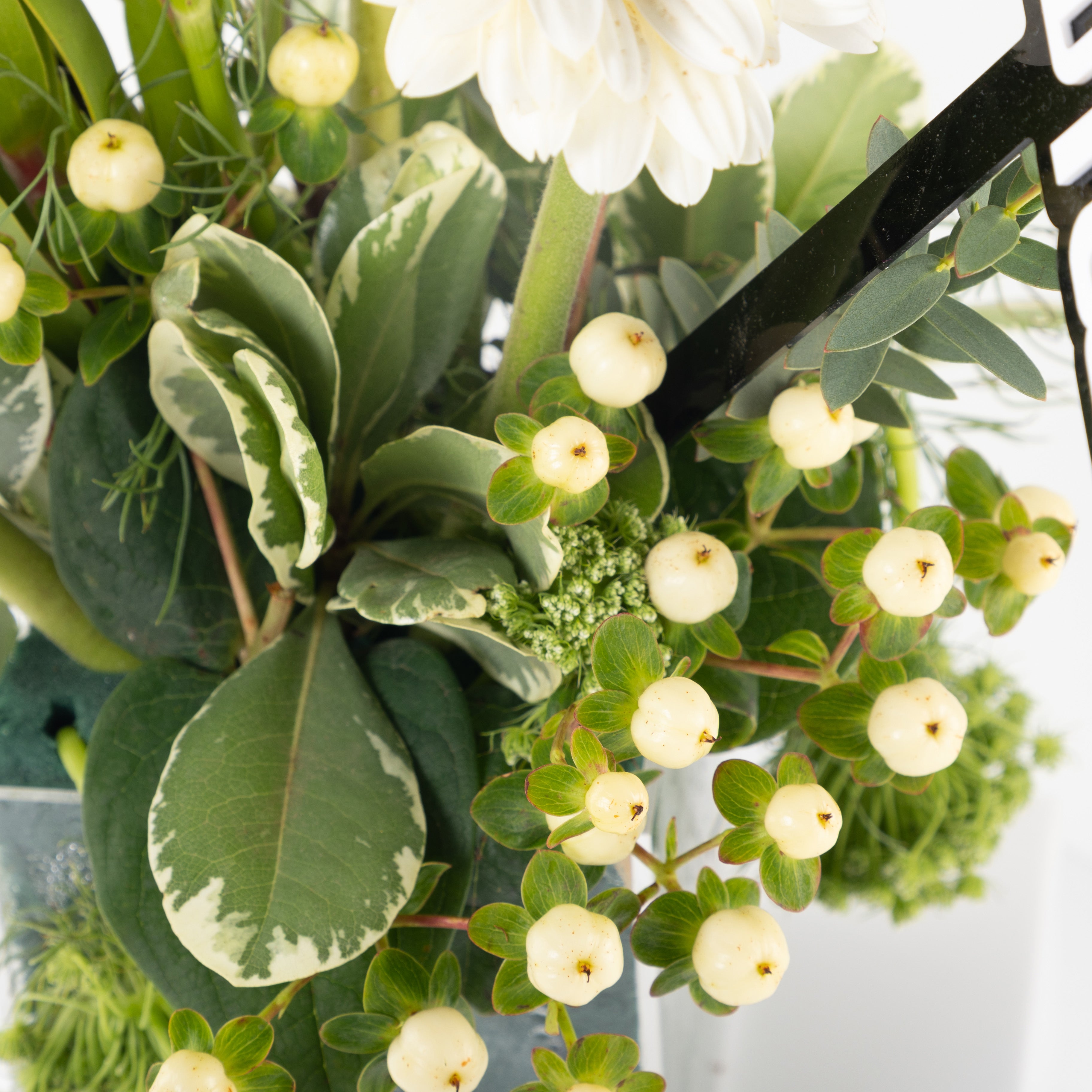 ستاند احنا تخرجنا المميز