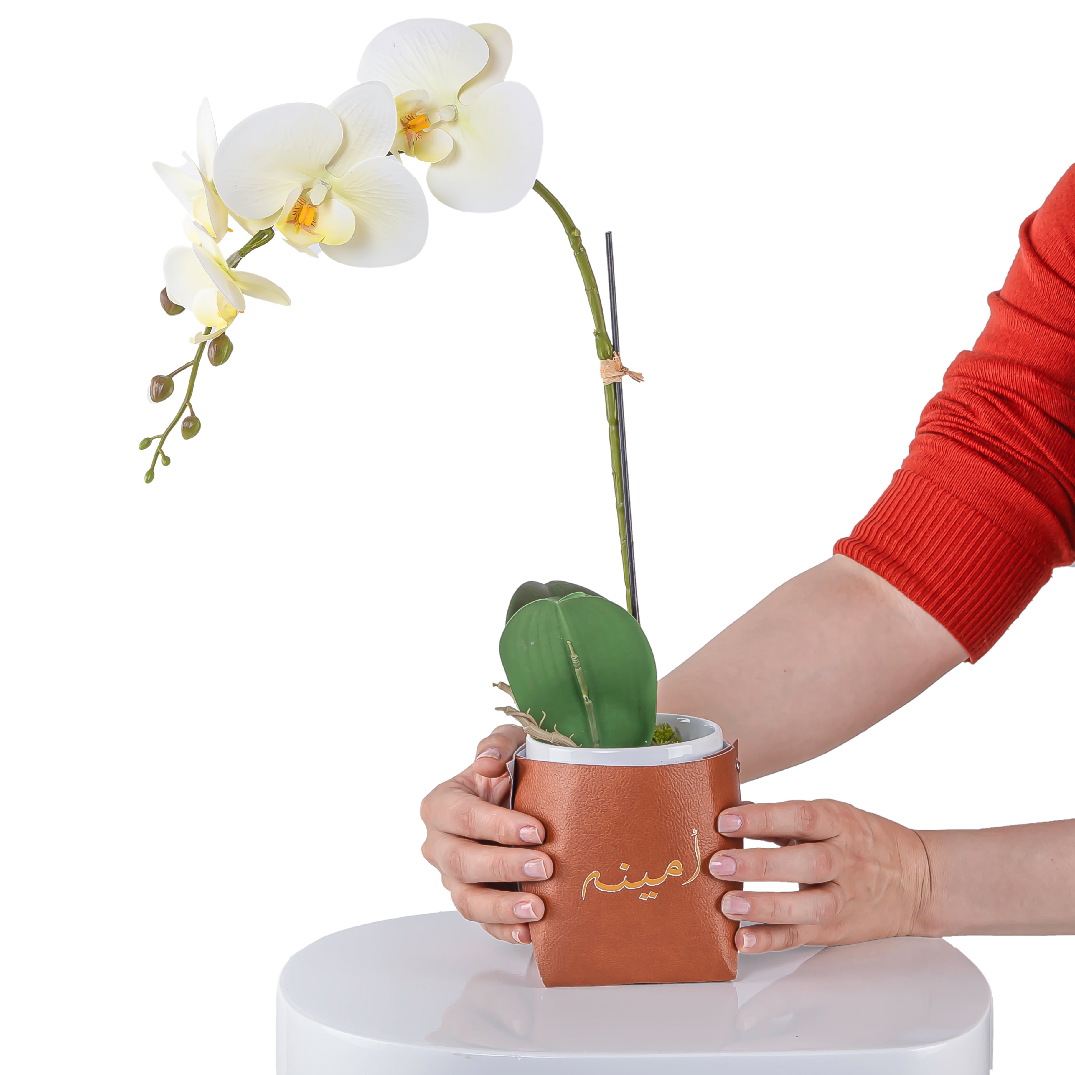 White orchid flower in a brown leather vase decorated by customized name 