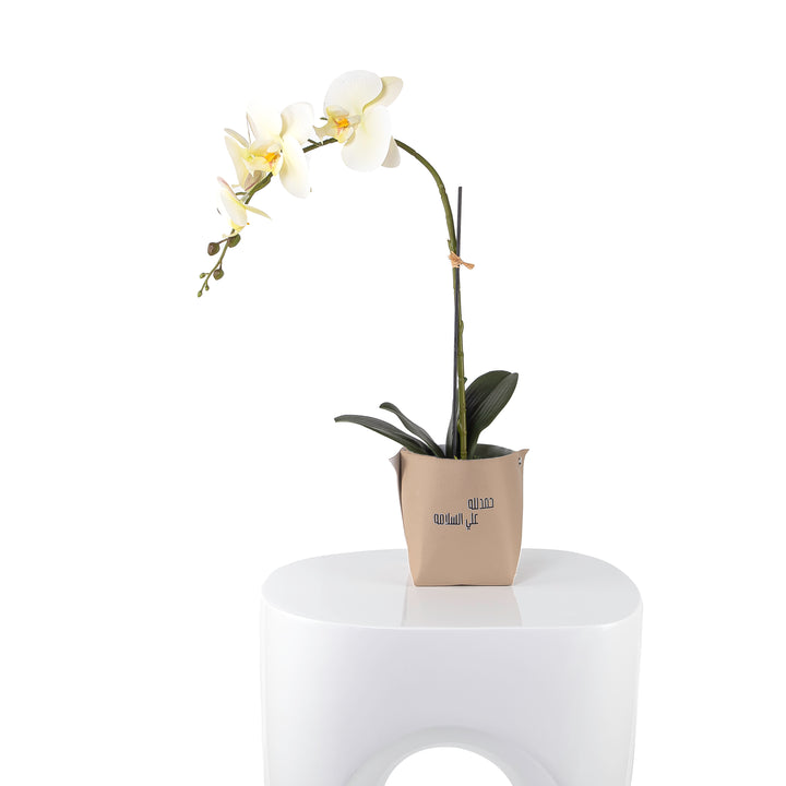 White orchid flower in a beige leather vase decorated with customized name 