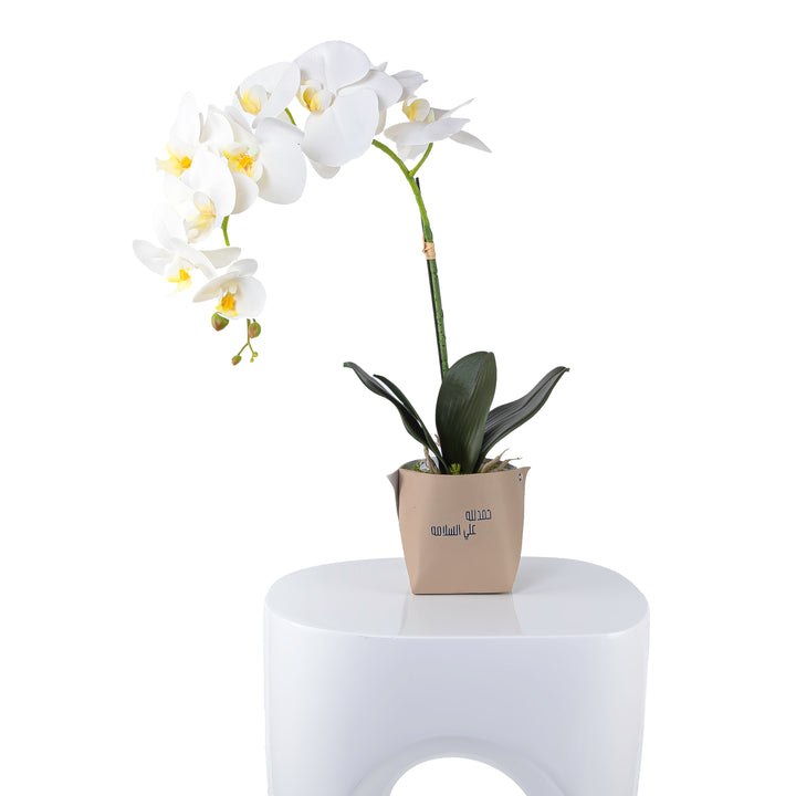 White orchid flower in a beige leather vase decorated with customized name 