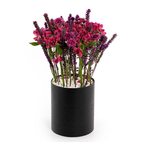 flower plant 