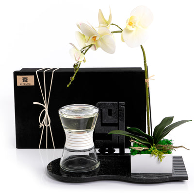 Omi Diffuser Set – Black