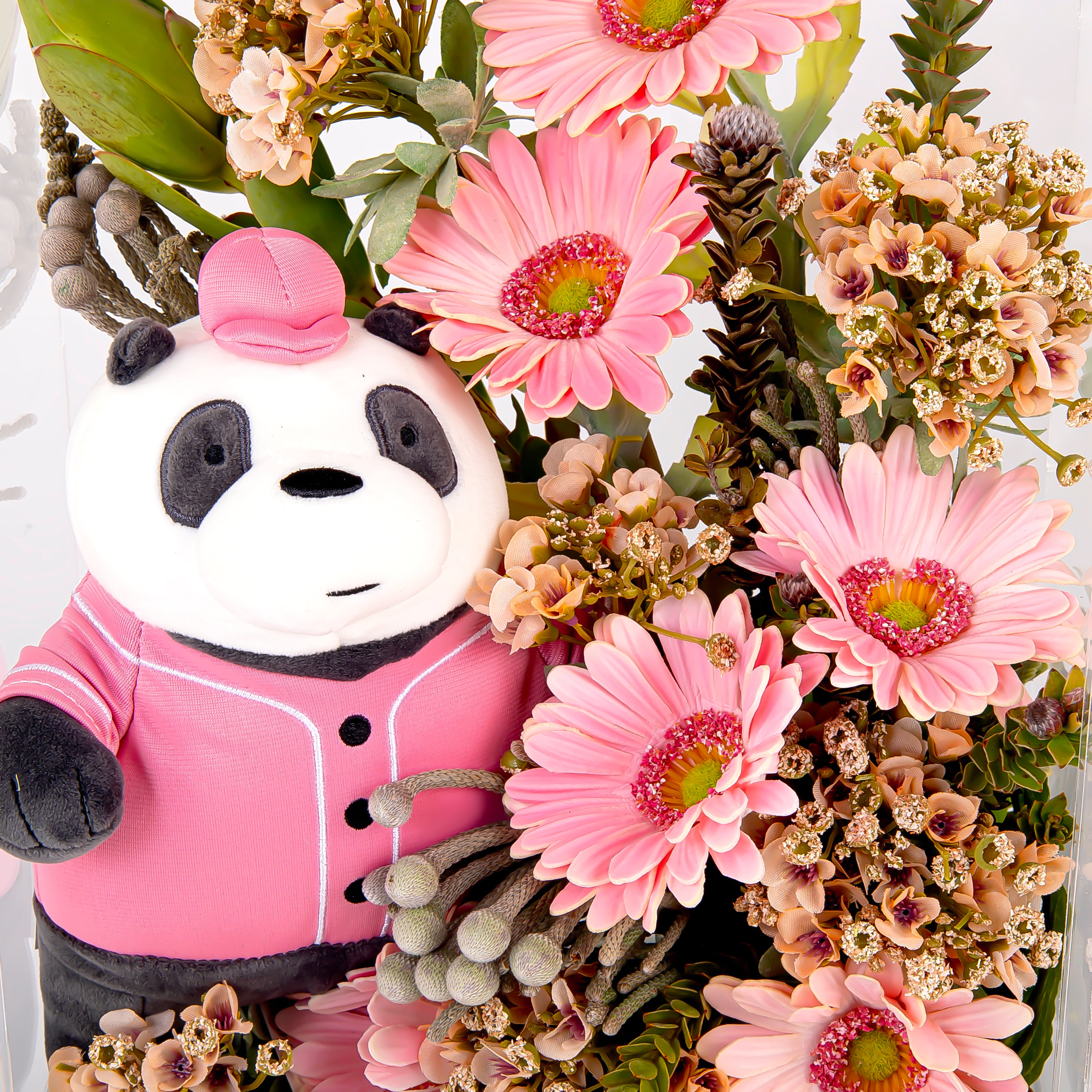 بوكس اكريليك - نيو بيبي 3