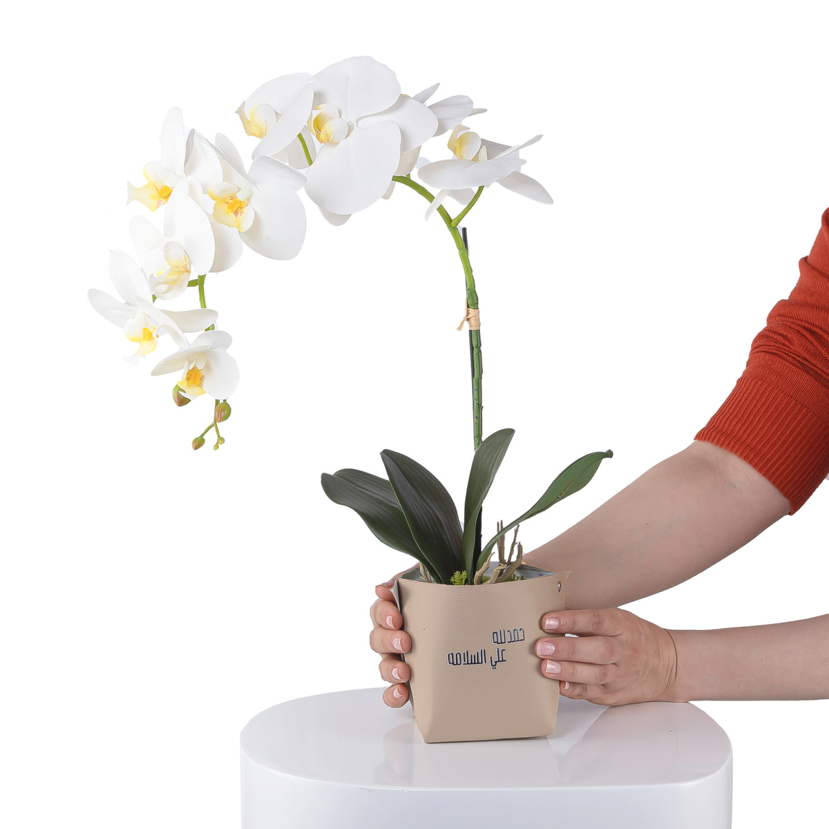 White orchid flower in a beige leather vase decorated with customized name 