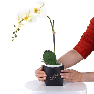 White orchid flower in a black leather vase