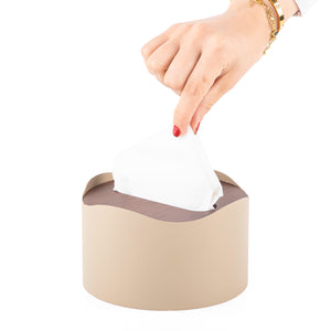 beige tissue box