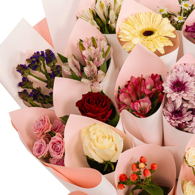 باقة بهجة الألوان