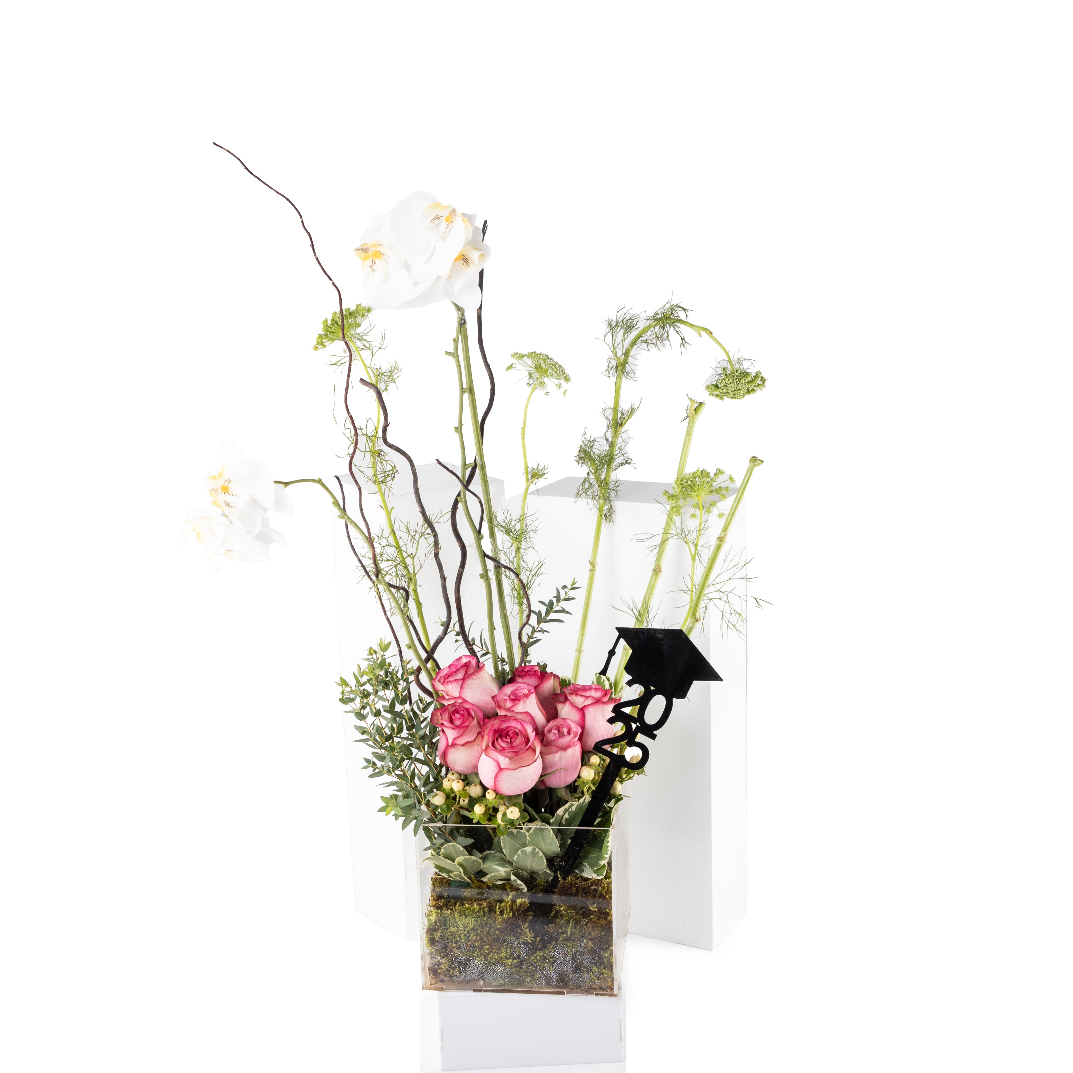 ستاند التخرج 2025