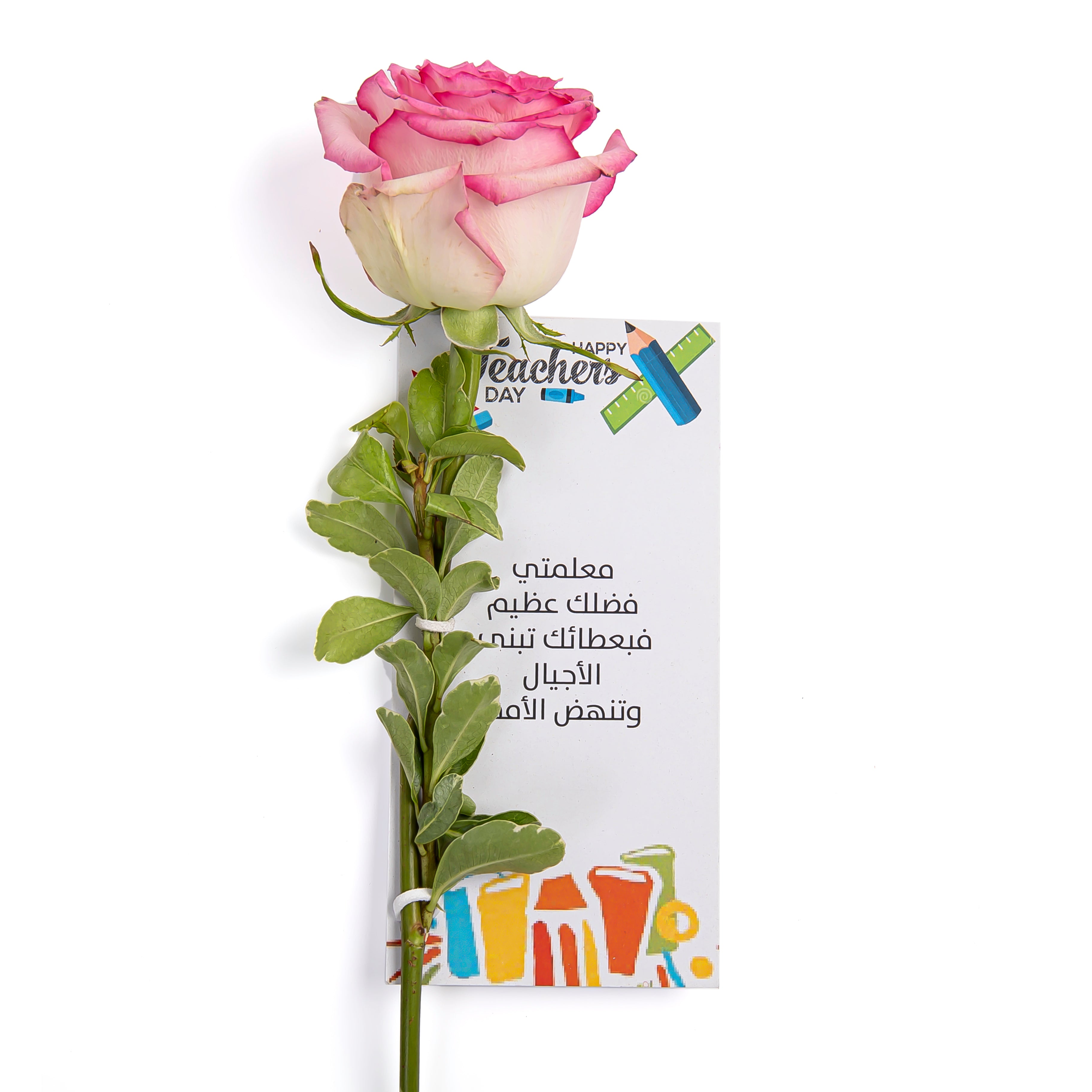 pink rose flower with greeting card