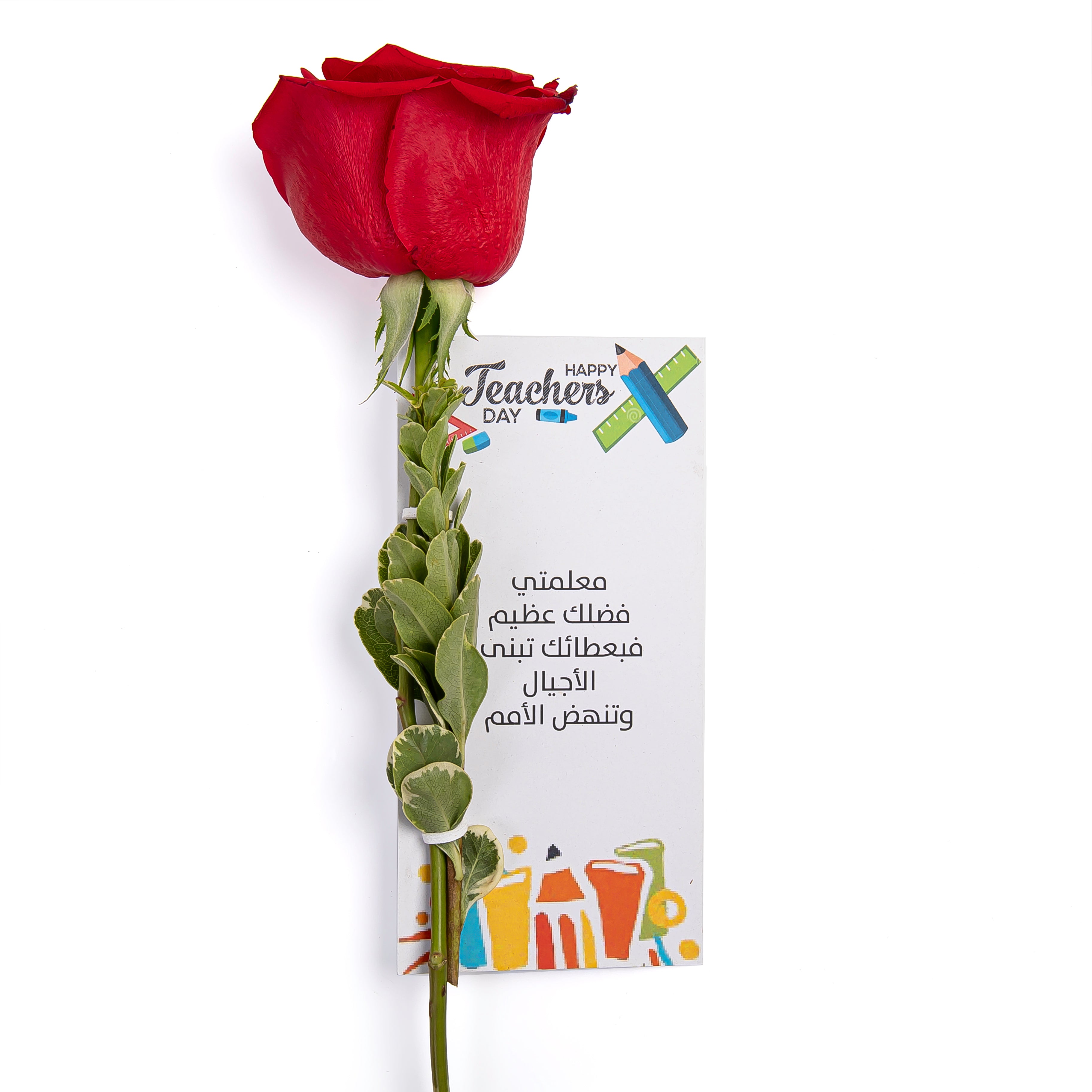 red rose flower with greeting card