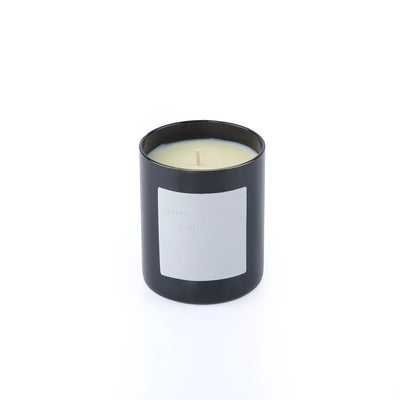 Caribbean Starfruit Scented Candle Mix