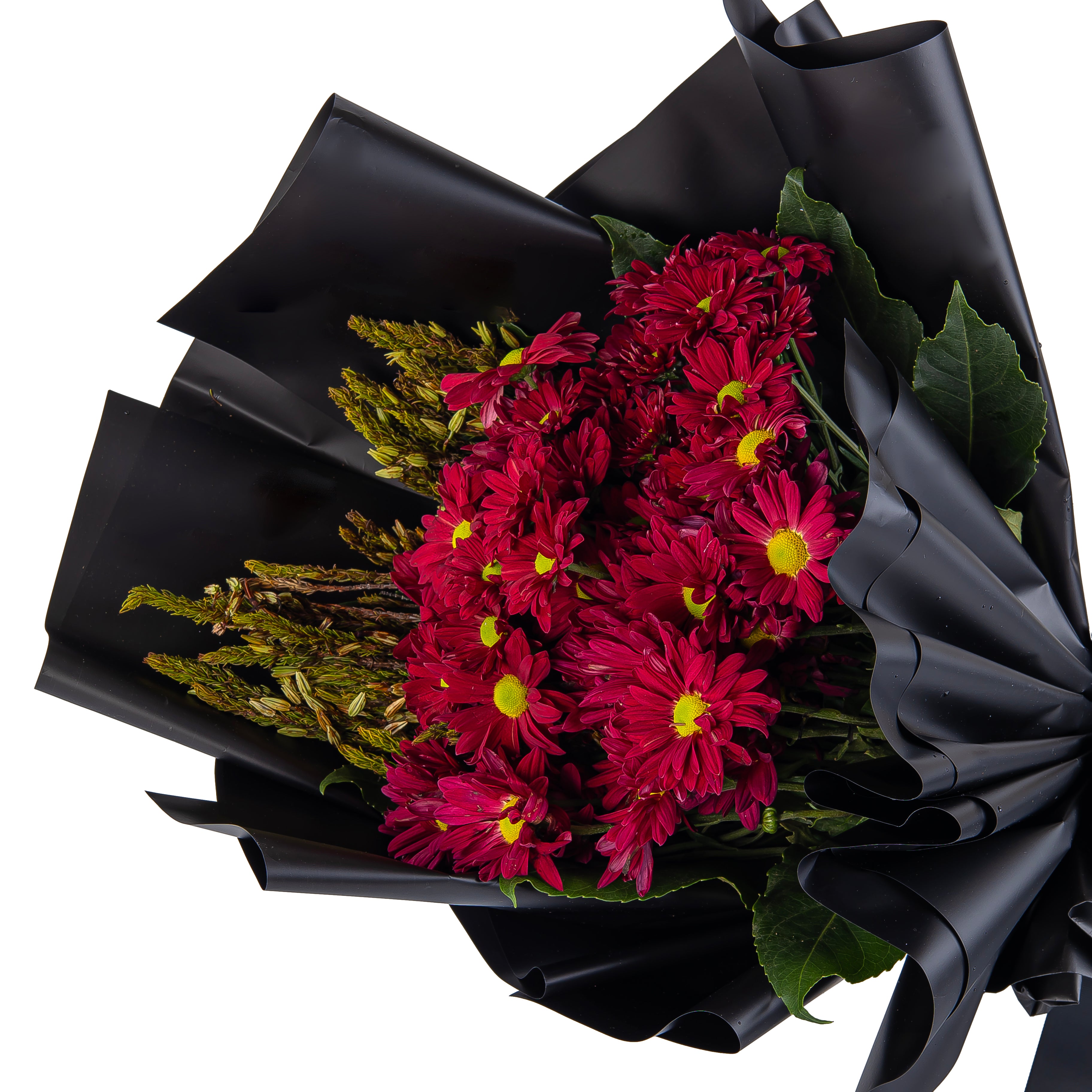 باقة الجمال الداكن